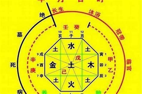 八字 五行 查詢|生辰八字算命、五行喜用神查询（免费测算）